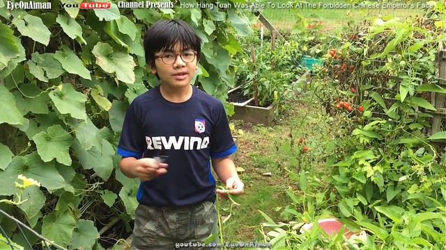 It Was Forbidden To Look At Chinese Emperor's Face! How Did The Legendary Malaysian Hang Tuah Do It