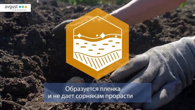 Лазурит от сорняков на картофеле. Особенности и инструкция по применению.