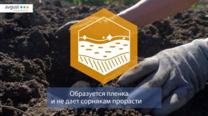 Лазурит от сорняков на картофеле. Особенности и инструкция по применению.