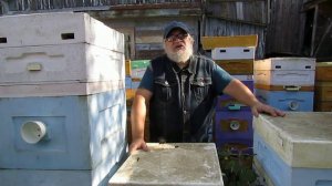 когда обработка от клеща Варроа уже может не помочь от гибели пчел, и нужно другое средство