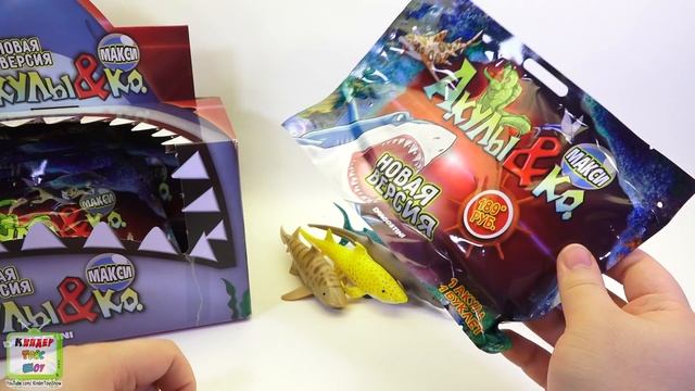 Акулы и КО МАКСИ смотреть онлайн