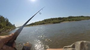 Крупный окунь на спиннинг в Томской области