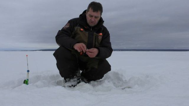Зимняя Рыбалка на реке. ХИТРЫЕ ПОСТАВУШКИ. Ловля судака на тюльку, 20 февраля 2024