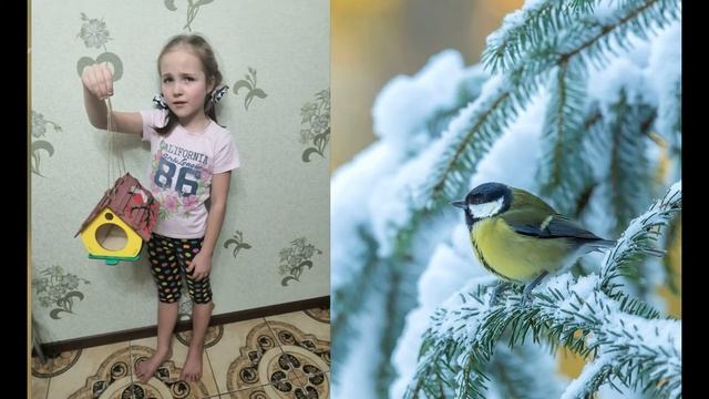 Покормите птиц зимой. 1Б класса МБОУ СОШ №77 им. С.И. Петрушко смотреть онлайн
