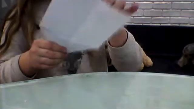 Как сделать квакающую голову лягушки из бумаги смотреть онлайн