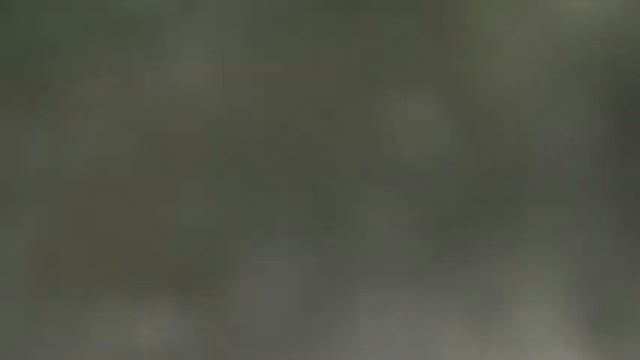 рыбалка на оке смотреть онлайн