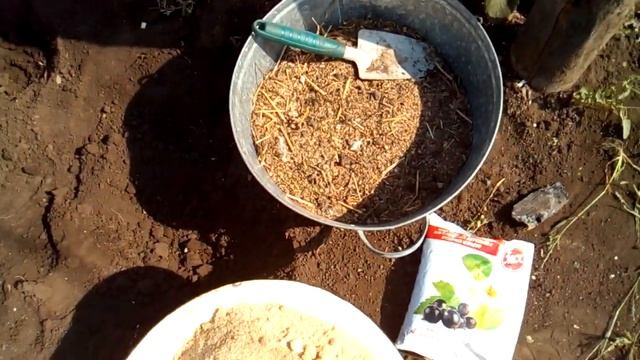 Какие удобрения вносить в лунку при посадке клубники? смотреть онлайн