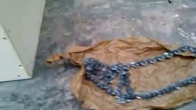 Безотходная утилизация пня смотреть онлайн