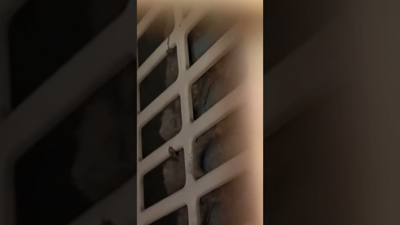 #кондиционер #установкакондиционера #сплитсистемы #монтаж смотреть онлайн