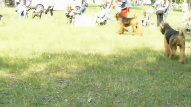 выбор ЛК. смотреть онлайн