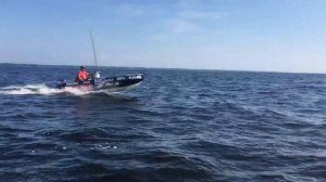 неман 2 yamaha15