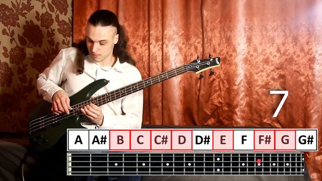 12 cool bass riffs from 0 (!) to 12 notes смотреть онлайн