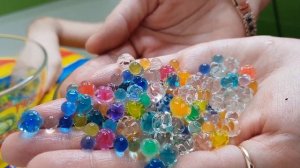 Выращиваем орбизы большие и маленькие. Эксперимент с орбизами.