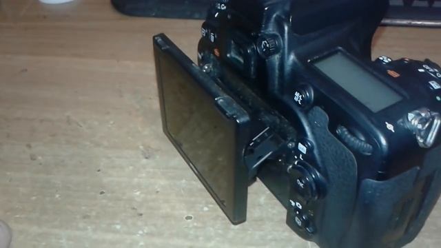 NIKON D750. Мысли мастера в слух.