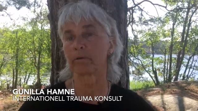 Gunilla Hamne om Stress & Trauma-modellen för beroendebehandling смотреть онлайн