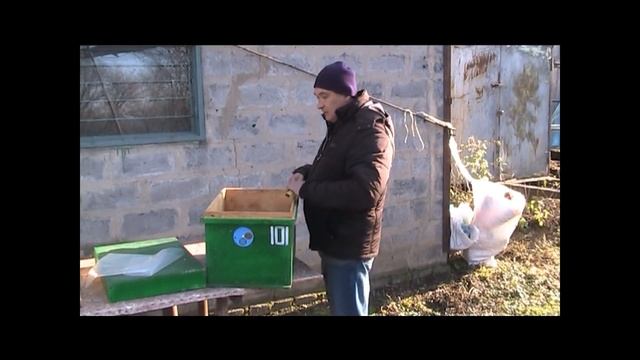 ульи из фанеры смотреть онлайн