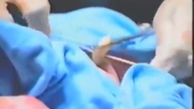 Sayangi ibumu, karena ibumu mempertaruhkan segalanya untukmu. смотреть онлайн