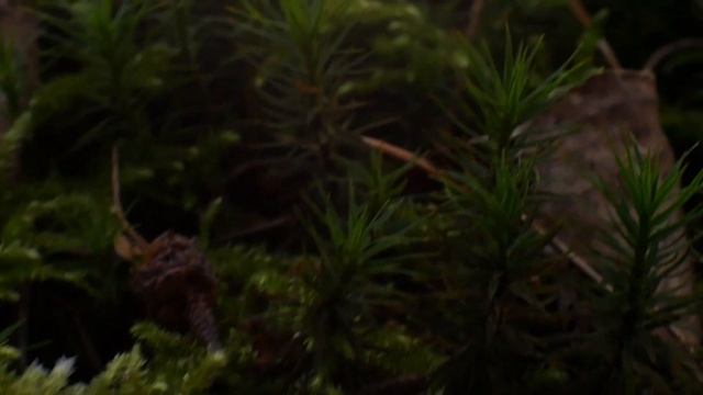 Квантовый скачок позволяет нам изменять реальности