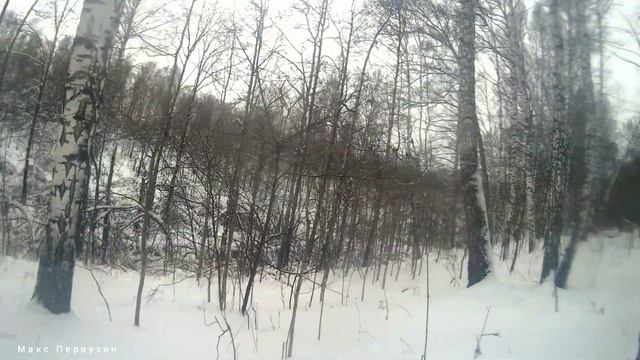 ОХОТА НА ЗАЙЦА. ПОПЫТКА ОТКРЫТЬСЯ. ОХОТА В НОВОСИБИРСКОЙ ОБЛАСТИ смотреть онлайн