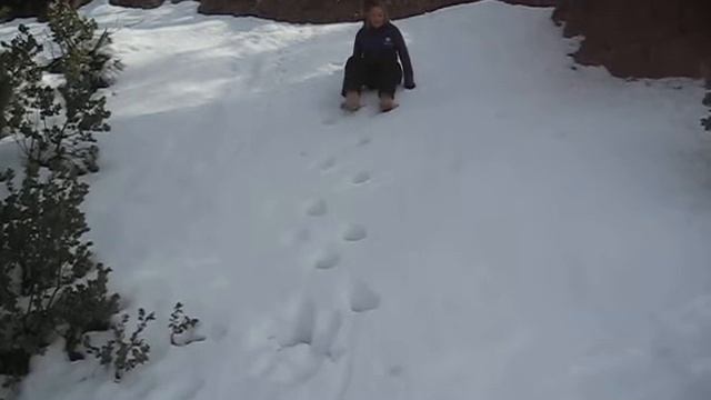 steezy sled shred 4 смотреть онлайн