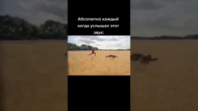 это ощущение не всегда можно слышать#майнкрафт #мемы смотреть онлайн