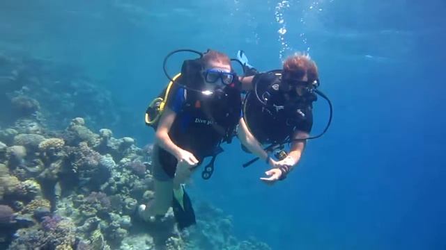 Египет, дайвинг в заповеднике Рас-Мохаммед. Scuba diving in Red sea смотреть онлайн