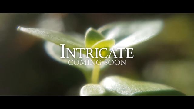 A action Video for using DCKina's 20X Super Macro Lens (Microscope) on a Samsung Galaxy S7 смотреть онлайн