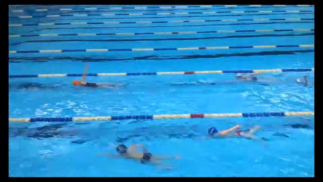 Вот бы такой бассейн в Максатиху! смотреть онлайн