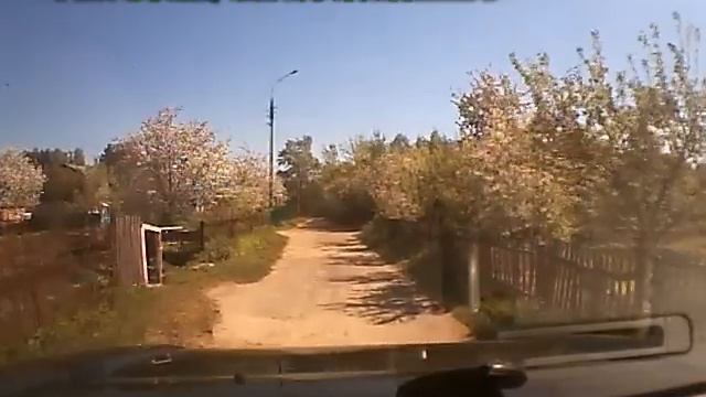 Лось бегает в садах в Павлово Нижегородской области смотреть онлайн