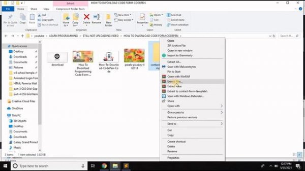 How To Download CodePen Code For Free (Step By Step) Bangla Tutorial.download codepen source code.