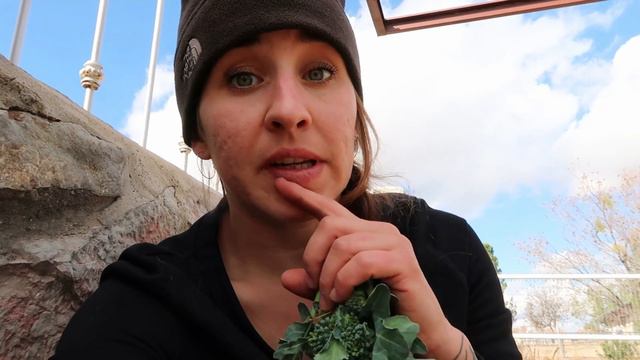 QUICK Farm To Table Dinner | Harvesting The Garden And Eating Seasonally