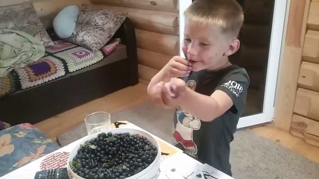 Витаминки дары природы! смотреть онлайн