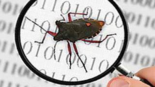 1. Тестирование ПО. Что такое БАГ