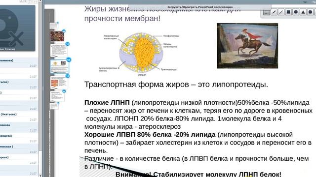 Наталья Клокова " Белки - основа жизни" смотреть онлайн