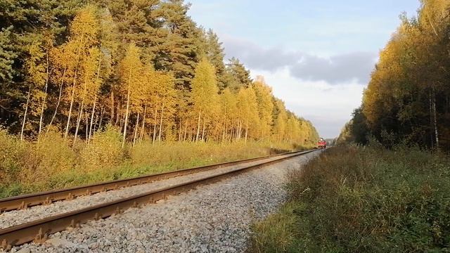 Тепловоз 2М62У-0335Б с пригородным поездом Углич - Савёлово. смотреть онлайн