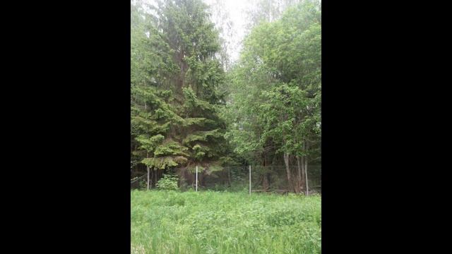 Участок У леса И реки 22 сотки смотреть онлайн