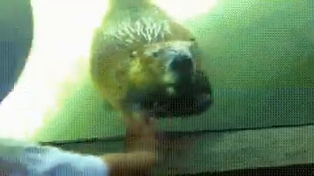 значение датчика объёма больше нормы смотреть онлайн