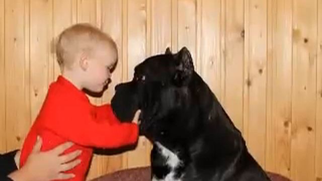 Видео Клип 7.wmv смотреть онлайн