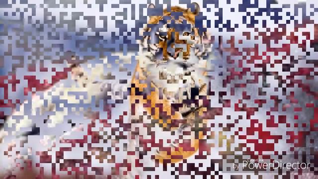 Разные фотографии смотреть онлайн