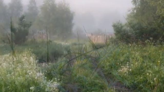 Нежность. Природа глазами души смотреть онлайн
