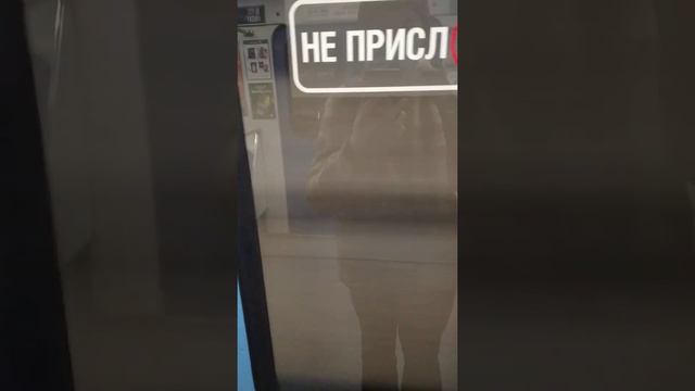 Чкаловская и Ботаническая смотреть онлайн