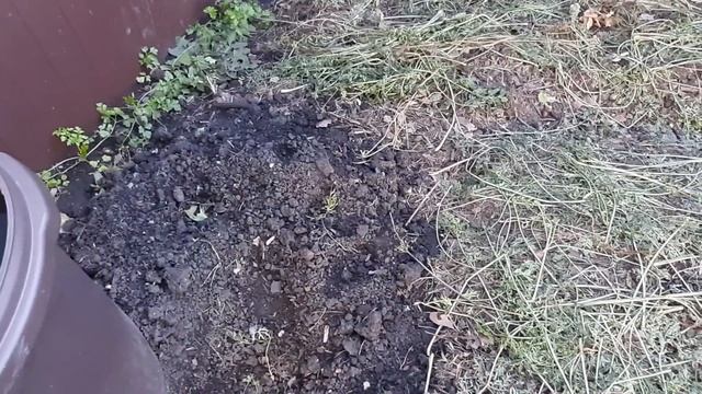 Как сделать почву абсолютно плодородной урожайной здоровой ЛЕГКО смотреть онлайн