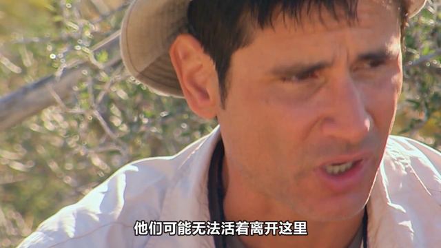 【求生夫妻档】特种夫妻挑战墨西哥荒漠，严重脱水只能喝尿液解渴，唯一的食物是烤老师和响尾蛇 смотреть онлайн