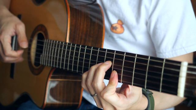 Main Theme ( From "Animal Crossing -Wild World" ) おいでよ どうぶつの森 メインテーマ Solo Guitar Arrange смотреть онлайн