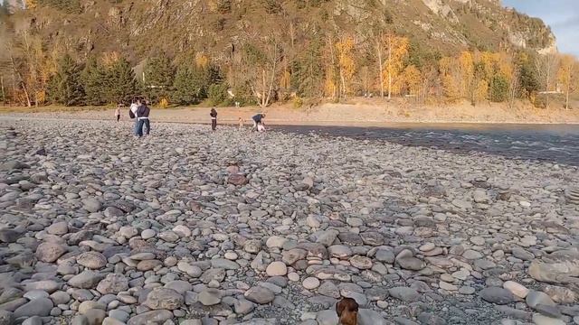 Горный Алтай/ Нашли потрясающе красивое место/ смотреть онлайн