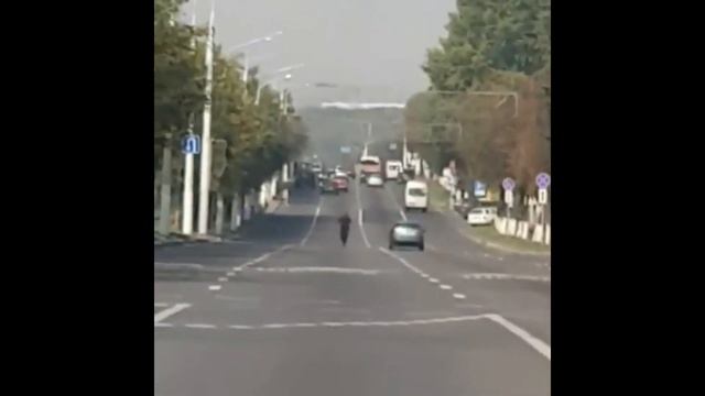 Священник рассекает на электросамокате Витебск смотреть онлайн