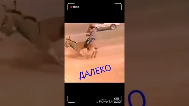 Вот так пойдёшь Ошко (город Ош) смотреть онлайн
