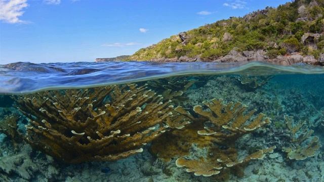 Classical Music For Relaxation - Classcical Music Mix - Chopin & Mozart & Strauss