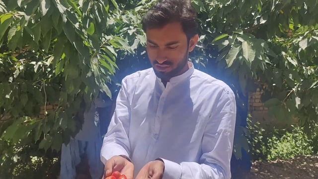 Ziarat / cherry gardens / full tour смотреть онлайн
