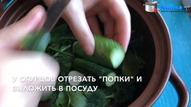 Малосольные огурчики смотреть онлайн